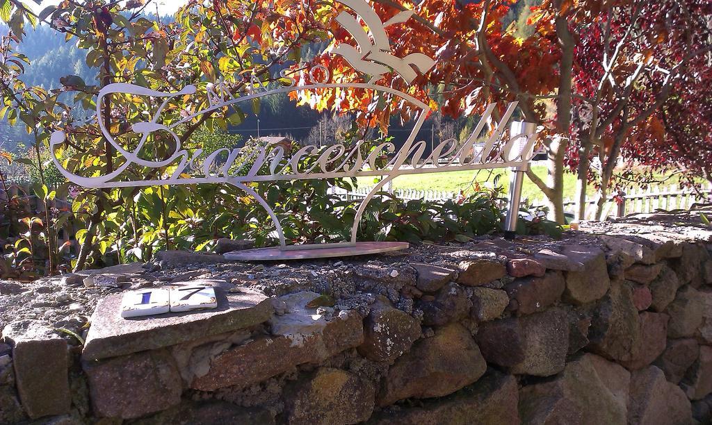 Bed and Breakfast Maso Franceschella Carano  Exterior foto